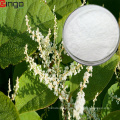 Polygonum Cuspidatum Root Extract Trans for Energy Powder